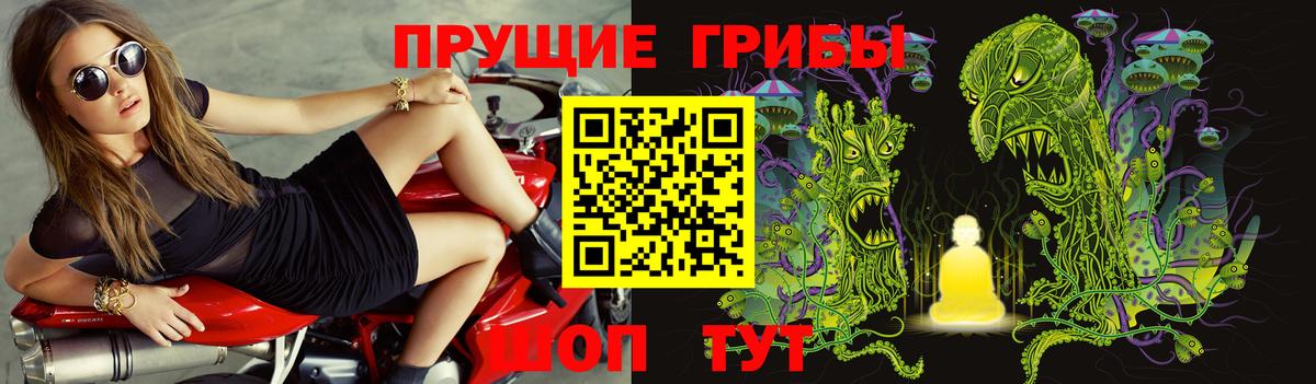 Псилоцибиновые грибы ЛСД Сафоново